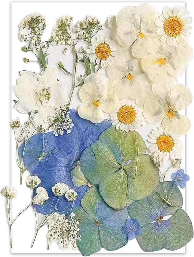 26pcs Dried Pressed Flowers for Resin Molds,YouthBro Real Natural Pressed Flowers for DIY Art Crafts,Candle Making, Nails Décor,Soap Making, Phone Case