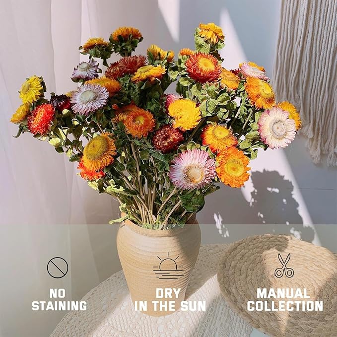 Natural Dried Flowers for Crafts, 45-60 Pcs Mixed Daisies & Sunflower Heads, Chrysanthemum Petals for Candle Making, Wreaths, Wedding Decor, DIY Crafts