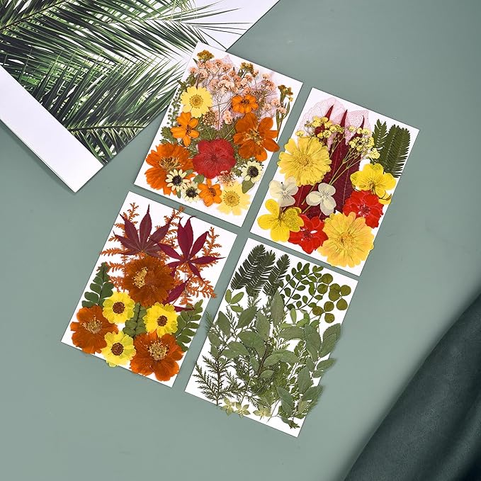 DALARAN 75 PCS Fall Natural Dried Flower for Soap Making, Candle Making and Resin Jewelry Making Pressed Flower Art Floral Decors