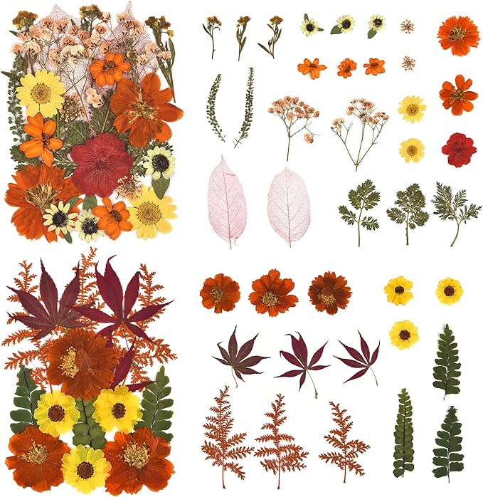 DALARAN 75 PCS Fall Natural Dried Flower for Soap Making, Candle Making and Resin Jewelry Making Pressed Flower Art Floral Decors