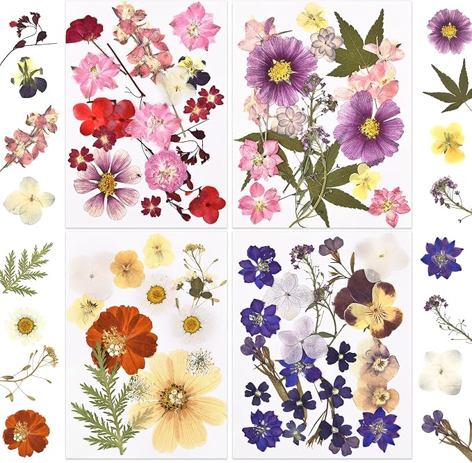 DALARAN 75Pcs Purple Dried Flowers for Resin Molds Real Pressed Flowers Dry Leaves Kit for Art Crafts Resin Jewelry Making Scrapbook Supplies Card Making Soap Candle DIY