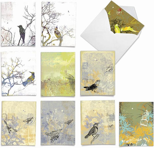 The Best Card Company - 10 Bird Note Cards Blank (4 x 5.12 Inch) - All Occasion Cards with Envelopes, Boxed Set - Bird Collages M2987OCB-NB