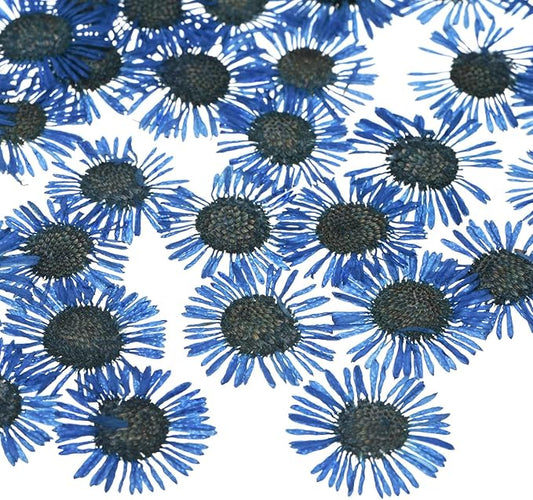 12-Pack Dried Pressed Flowers for Resin, Real Natural Bulk Dry Floral for Crafts/DIY Jewelry/Soap Making/Scrapbooking/Candle/Epoxy Resin Supplies/Photo Frames [Blue]