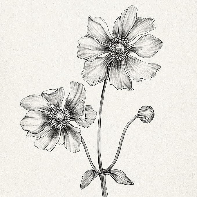 Framed Floral Wall Art for Living Room, 4 Piece Neutral Rustic Botanical Painting Canvas Prints Artwork for Modern Farmhouse, Vintage Minimalist Flower Pictures for Hallway Bedroom Kitchen Wall Decor