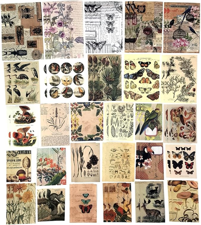 200 Pieces Vintage Ephemera Scrapbooking Supplies Pack for Journaling, Decoupage Paper Scrapbook Stickers Kit for Bullet Junk Journal Planners Collage Craft Notebooks Album (Forests)