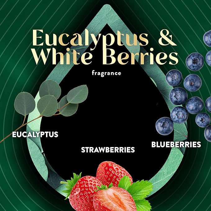 Air Wick Vibrant Plug In Scented Oil Refill,Eucalyptus & Wild Berries, 5 ct