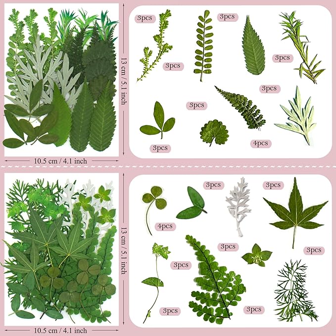 100 Pcs Dried Pressed Flowers Leaves for Resin Molds, Real Natural Bulk Dry Wildflowers Perfect for Epoxy, DIY Crafts, Soap Candles Jewelry Making, and Home Decor