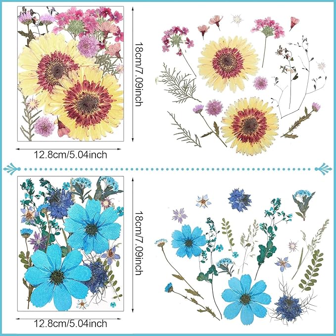 Nuanchu Dried Flower for Crafts Resin Pressed Flowers Bulk, Large Real Dried Wildflowers Leave Natural with Tweezer for Scrapbooking Nail Soap Candle Cake Card Making DIY Christmas Craft Supplies