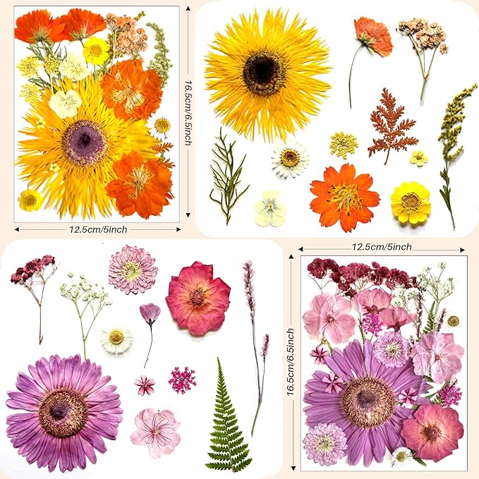98Pcs Large Pressed Flowers for Resin - Real Bulk Dried Flowers and Leaves for Scrapbooking, DIY Art Crafts, Epoxy Resin Jewelry Molds, Candle, Soap Making