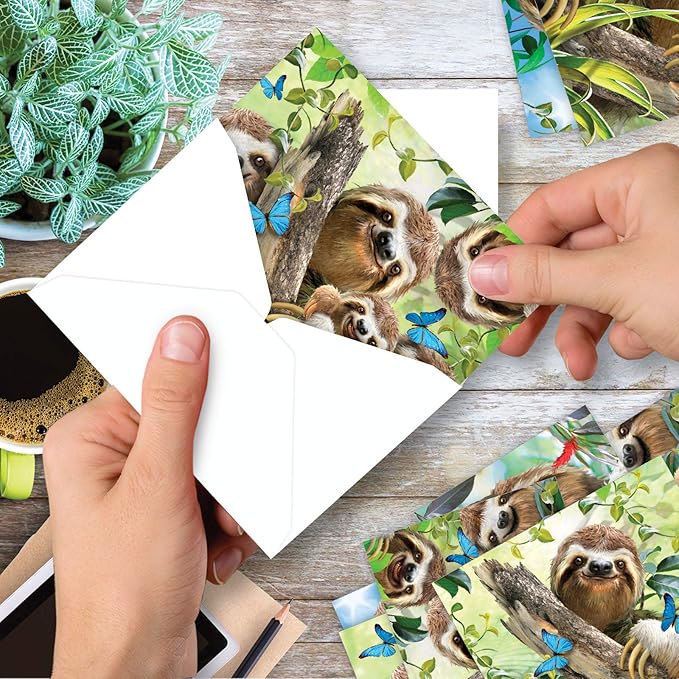 The Best Card Company - 10 Blank Animal Cards Boxed (4 x 5.12 Inch) - Assorted Pets, Zoo, Wildlife Cards - Smiling Sloths AM6864OCB-B1x10