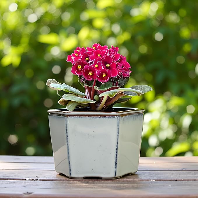 African Violet Pots 6 inch Hexagon Self-Watering Ceramic Violet Pots 4.50'' Opening (Cream White)