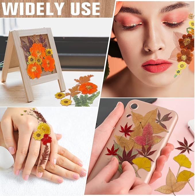 Nuanchu Fall Pressed Flowers Bulk Dried Flower for Crafts Autumn Orange Dried Wildflowers Natural Leave with Tweezer Fall Craft Supplies for Resin Mold Scrapbooking Nail Soap Making DIY Art Crafts