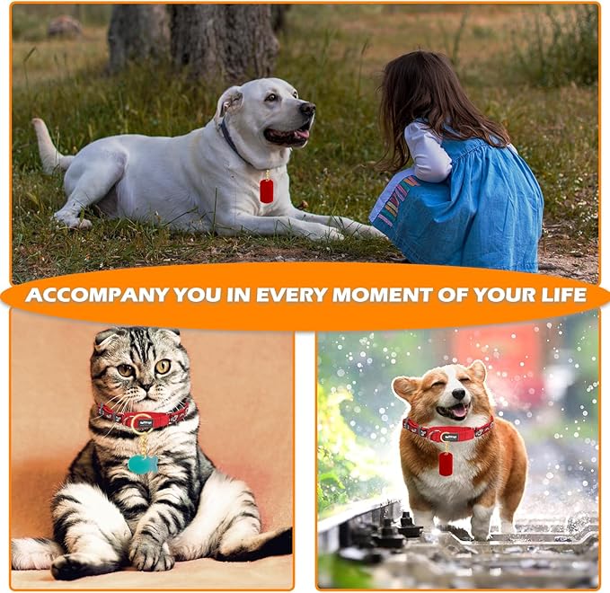 SAGOOITS Pet Tag Resin Mold Silicone,with Letter Resin Stickers and 10Pcs Keychains,Dog Tag Molds for Resin, Bone Cat Shaped Keychain Silicone Resin Molds DIY Crafts Making Tag Charm Pendant