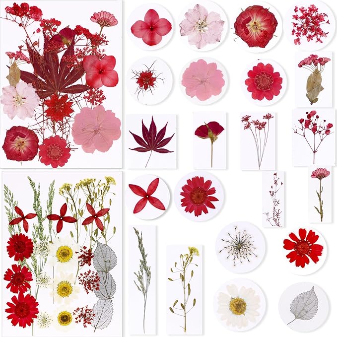 BIHRTC 100pcs Dried Pressed Flowers Red Real Pressed Colorful Flowers Dry Natural Leaves for Scrapbooking DIY Candle Accessories Jewelry Crafts Making DIY Art Crafts Cake Decor