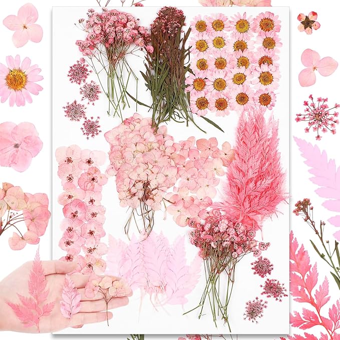 Fabbay 200 Pcs Dried Pressed Flowers Real Dry Natural Flower Leaf Dried Flowers for Resin Pressed Flower Kit for Plant Herbarium Scrapbooking DIY Candle Crafts (Pink)