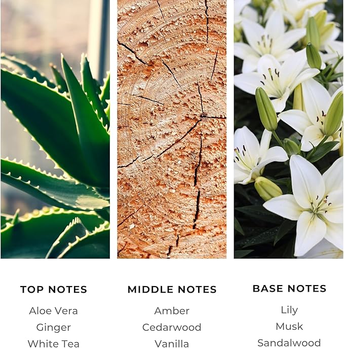 Brilliant Scents La Mar Fragrance Oil 500ml - Premium Diffuser Oil for Home, Office, Hotels - Long Lasting, Plant-Based, Meets IFRA Standards, USA-Made - White Tea, Ginger, Musk