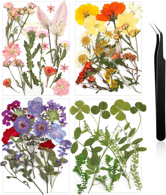 Nuanchu Pressed Flowers Bulk Dried Flower for Crafts Resin Real Dried Wildflowers Leave Natural with Tweezer for Christmas Craft Supplies Resin Mold Scrapbooking Nail Soap Candle Cake Card Making DIY