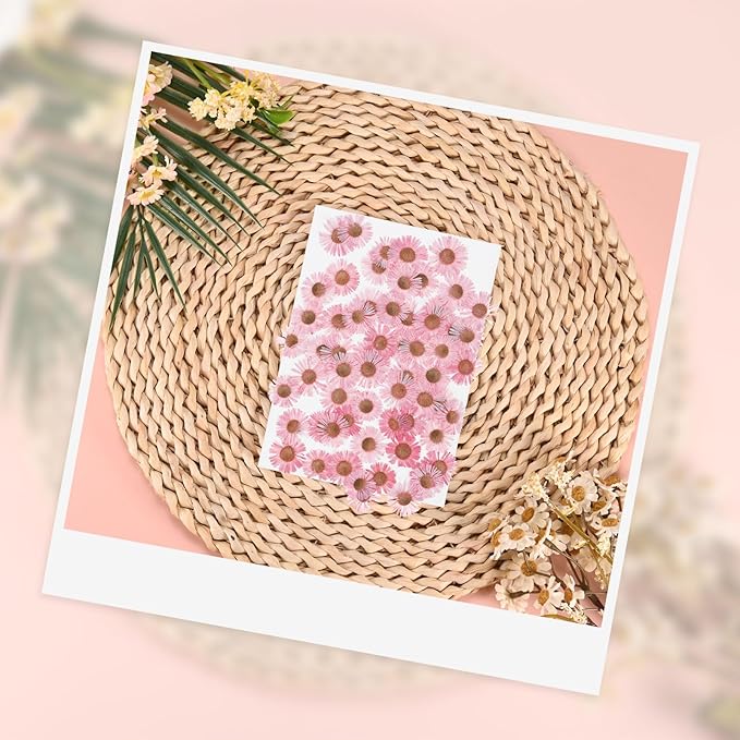 12-Pack Dried Pressed Flowers for Resin, Real Natural Bulk Dry Floral for Crafts/DIY Jewelry/Soap Making/Scrapbooking/Candle/Epoxy Resin Supplies [Pink]