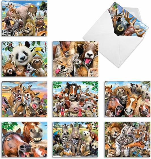 The Best Card Company - 10 Blank Animal Cards Box Set (4 x 5.12 Inch) - Bulk Assorted Pets, Horses, Wildlife Cards for Men and Women, Camp - Here's Looking at Zoo M6639OCB