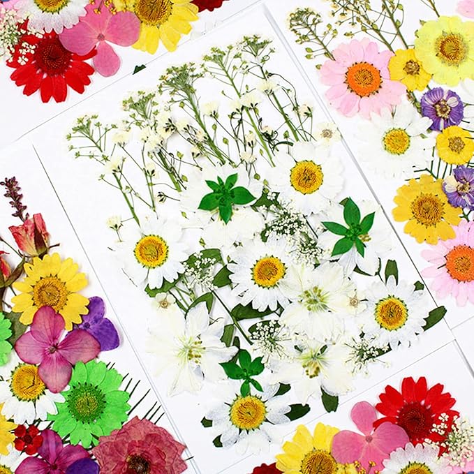 86Pcs White Pressed Dried Flowers Real Natural Leave for DIY Resin Molds Candle Jewelry Nail Crafts Gifts