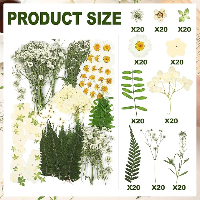 Fabbay 200 Pcs Dried Pressed Flowers Real Dry Natural Flower Leaf Dried Flowers for Resin Pressed Flower Kit for Plant Herbarium Scrapbooking DIY Candle Crafts (White)