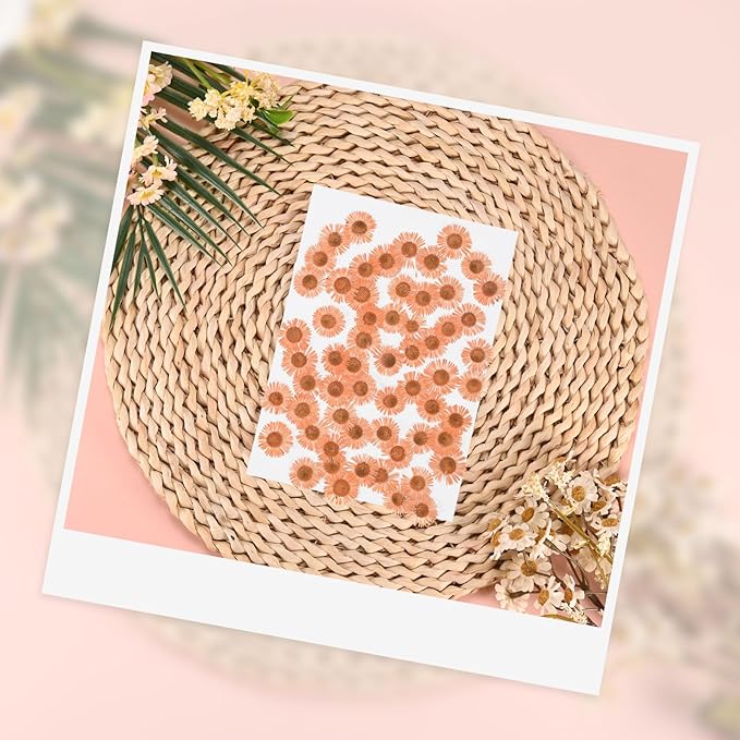 12-Pack Dried Pressed Flowers for Resin, Real Natural Bulk Dry Floral for Crafts/DIY Jewelry/Soap Making/Scrapbooking/Candle/Epoxy Resin Supplies [Orange]