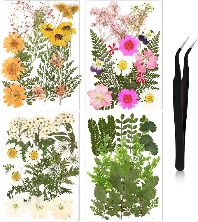 Nuanchu Pressed Flowers for Crafts Resin Dried Flower Bulk White Natural Dried Wildflowers Daisy with Tweezer for Resin Mold Candles Cake DIY Christmas Craft Card Making Wedding Scrapbooking Supplies