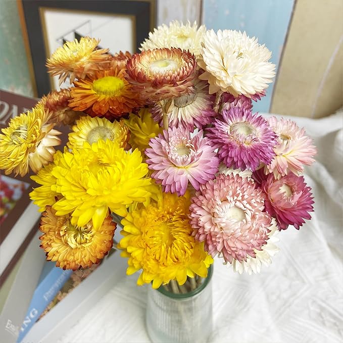 L'BREVOGA Dried Flower Bouquets, 16 pcs 100% Natural Daisy Strawflower for Decoration Home Party - Pink & White