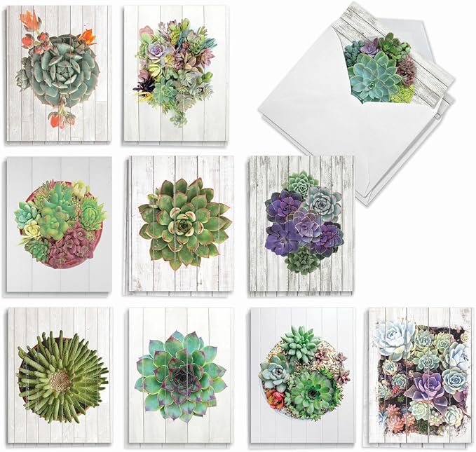 The Best Card Company - 20 Assorted Blank Plant Cards Boxed (4 x 5.12 Inch) (10 Designs, 2 Each) - Shiplap Succulents AM6438OCB-B2x10
