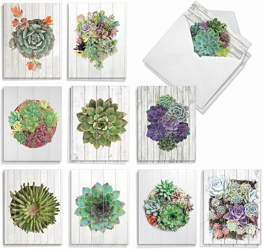 The Best Card Company - 20 Assorted Blank Plant Cards Boxed (4 x 5.12 Inch) (10 Designs, 2 Each) - Shiplap Succulents AM6438OCB-B2x10