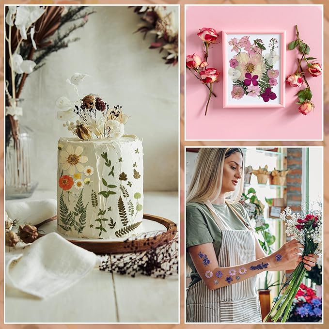 Nuanchu Dried Flower for Crafts Resin Pressed Flowers Bulk Real Dried Wildflowers Leave Natural with Tweezer for Resin Mold Scrapbooking Nail Soap Candle Cake Card Making DIY Christmas Crafts Supplies