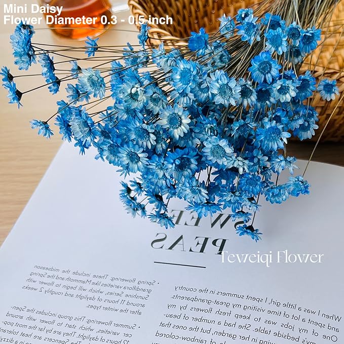 Natural - Dried - Flowers Brazilian Small Star Daisy Dried Decorative Mini Chamomile Bouquet for Wedding Floral Arrangements Home Decorations Valentine's Day Gifts (200 Stems) (Indigo Blue)