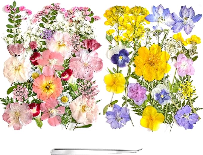 65Pcs Pressed Flowers for Resin Real Bulk Dried Flowers Leaves for Mold Scrapbooking DIY Art Crafts, Epoxy Resin Jewelry Molds, Candle, Soap Making (Pink, Purple, Yellow)