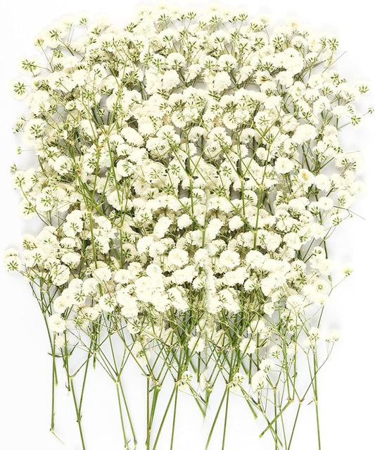 100Pcs Mini Dried Pressed White Baby’s Breath Flowers Bulk - Real Natural Flat Flowers for Epoxy Craft, Scrapbooking, Wedding Invitations, Home Decor, DIY Gifts for Crafters & Event Planners (100)