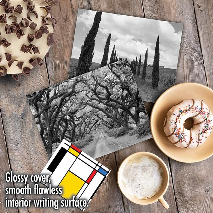 The Best Card Company - Box of 10 All Occasion Cards Blank (4 x 5.12 Inch) - Scenic Landscape Cards Assorted - Tree Lines M3313-NB