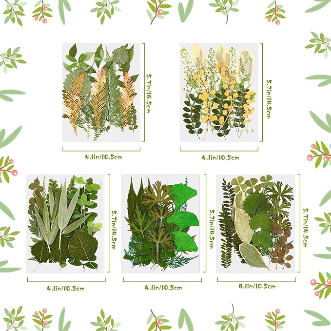 Nuanchu 99 Pieces Assorted Pressed Leaves for Crafts Real Dried Leaves for Resin Plant Herbarium Flowers for Art Craft DIY Jewelry Decoration Handmade Bookmarks, 5 Bags (Stylish Style)
