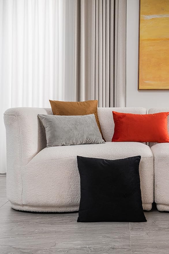 Decorative Pillow Covers 24x24 Black: 2 Pack Cozy Soft Velvet Square Throw Pillow Cases for Farmhouse Home Decor