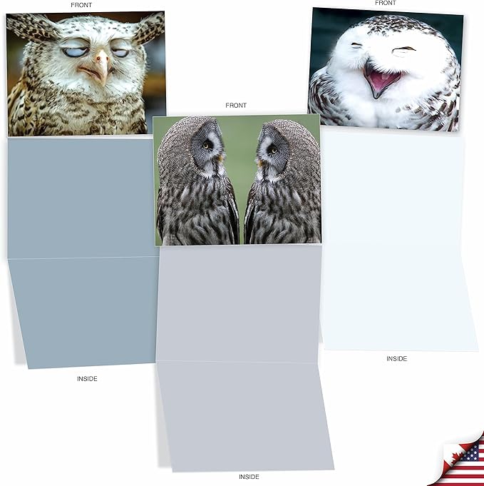 The Best Card Company - 10 Bird Note Cards Blank (4 x 5.12 Inch) - All Occasion Cards with Envelopes, Boxed Set - What a Hoot M1769BN
