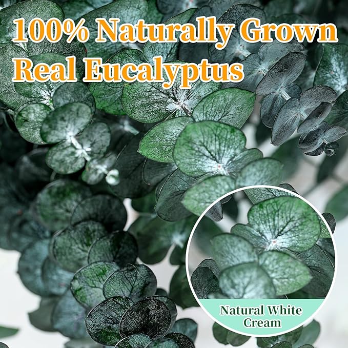 21 Pcs Real Dried Eucalyptus Stems, 17" Natural Fresh Eucalyptus Branches for Shower, Greenery Leaves for Vase Filler, Fragrance, Fresh Silk Dry Live Plants Decor