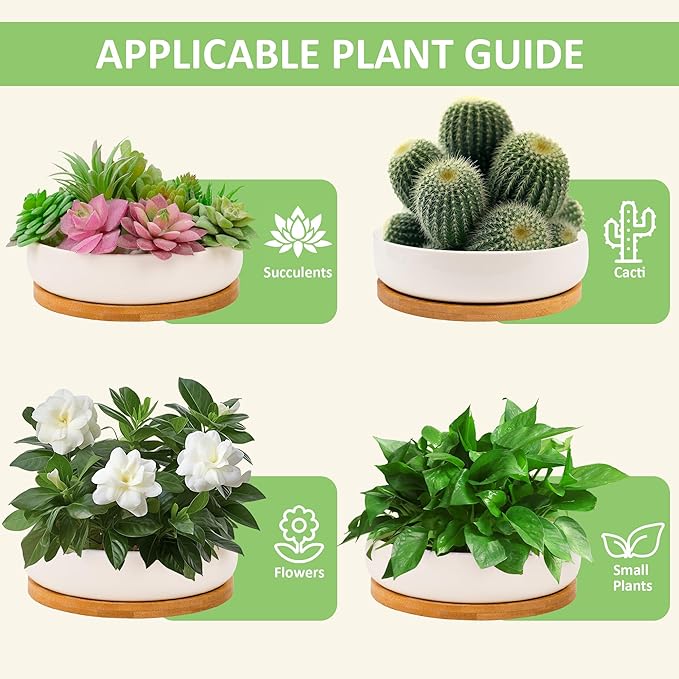 2 PCS Succulent Pot Cactus Containers White Ceramic Planter with Drainage Hole and Removable Tray Small Plant Pots for Home Office Decor Bonsai Container for Indoor Outdoor Plants (Circle)