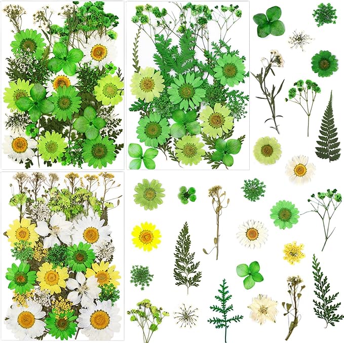 84 Pcs Green Dried Pressed Flowers Real Natural Leave for DIY Resin Molds Candle Jewelry Nail Crafts Gifts