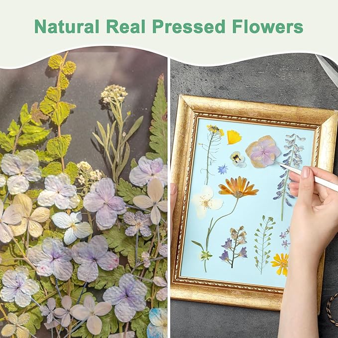 60-Pack Dried Pressed Flowers for Resin, Real Natural Bulk Dry Floral for Crafts/DIY Jewelry/Soap Making/Scrapbooking/Handmade Candle/Epoxy Resin Supplies [Pink]