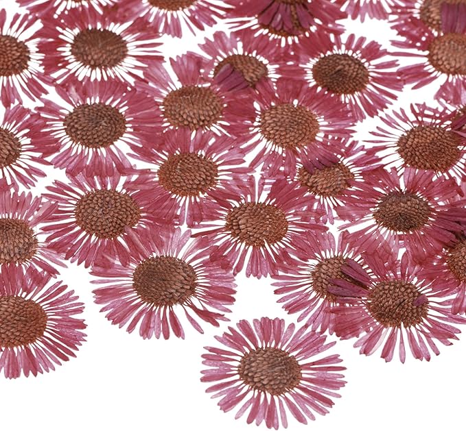 60-Pack Dried Pressed Flowers for Resin, Real Natural Bulk Dry Floral for Crafts/DIY Jewelry/Soap Making/Scrapbooking/Handmade Candle/Epoxy Resin Supplies [Rose Pink]