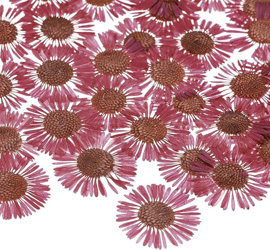 12-Pack Dried Pressed Flowers for Resin, Real Natural Bulk Dry Floral for Crafts/DIY Jewelry/Soap Making/Scrapbooking/Candle/Epoxy Resin Supplies [Rose Pink]