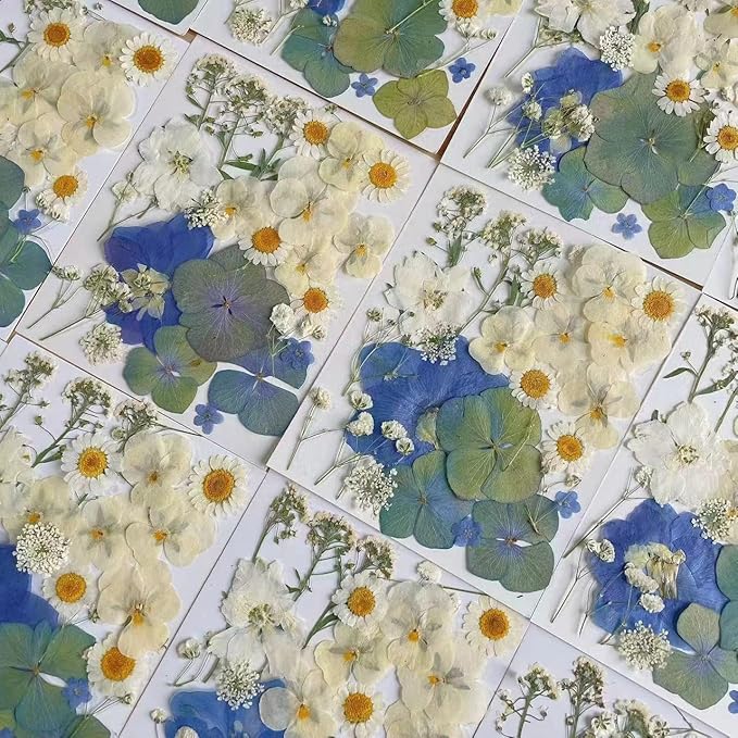 26pcs Dried Pressed Flowers for Resin Molds,YouthBro Real Natural Pressed Flowers for DIY Art Crafts,Candle Making, Nails Décor,Soap Making, Phone Case
