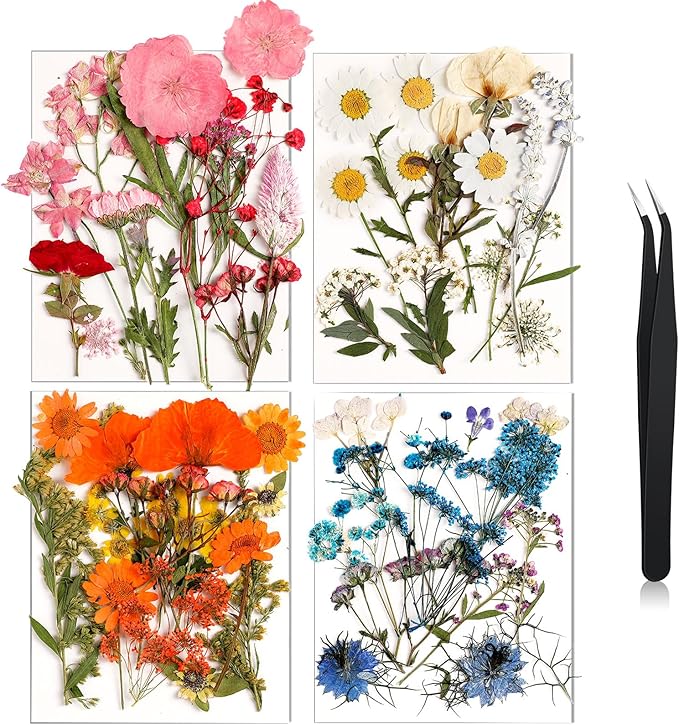 Nuanchu Dried Flower for Crafts Resin Pressed Flowers Bulk, Real Dried Wildflowers Leave Natural with Tweezer for Resin Mold Scrapbooking Nail Soap Candle Cake Card Making Christmas Craft DIY Supplies