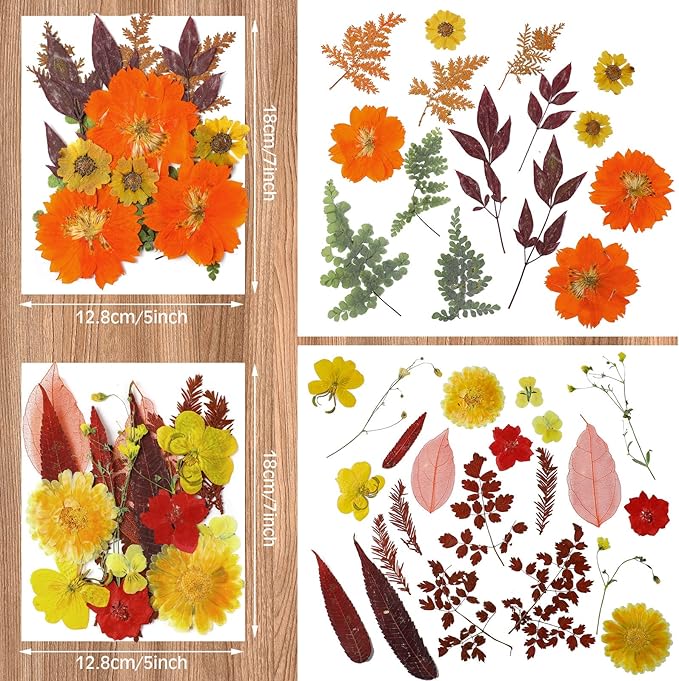 Nuanchu Fall Pressed Flowers Bulk Dried Flower for Crafts Autumn Orange Dried Wildflowers Natural Leave with Tweezer Fall Craft Supplies for Resin Mold Scrapbooking Nail Soap Making DIY Art Crafts