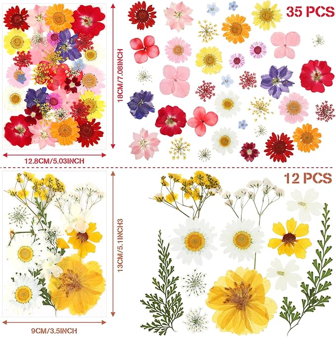 Nuanchu Pressed Flowers Bulk Dried Flower for Crafts Dried Wildflowers Leave Natural with Tweezer for Resin Mold Candles Cake DIY Christmas Craft Card Making Wedding Scrapbooking Supplies