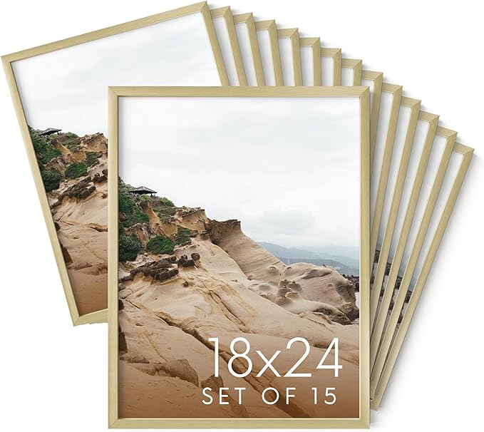 HAUS AND HUES 18x24 Gold Metal Picture Frames - Features Premium Aluminum, Vertical & Horizontal Hang, Shatterproof Plexiglass - Perfect for Home, Room, Office (18x24 in, Gold, Set of 15)