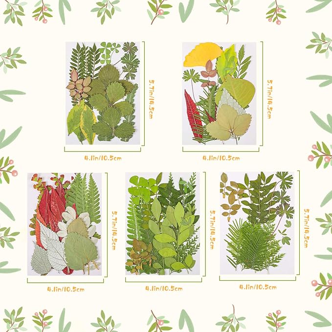 Nuanchu 99 Pieces Assorted Pressed Leaves for Crafts Real Dried Leaves for Resin Plant Herbarium Flowers for Art Craft DIY Jewelry Decoration Handmade Bookmarks, 5 Bags(Classic Style)